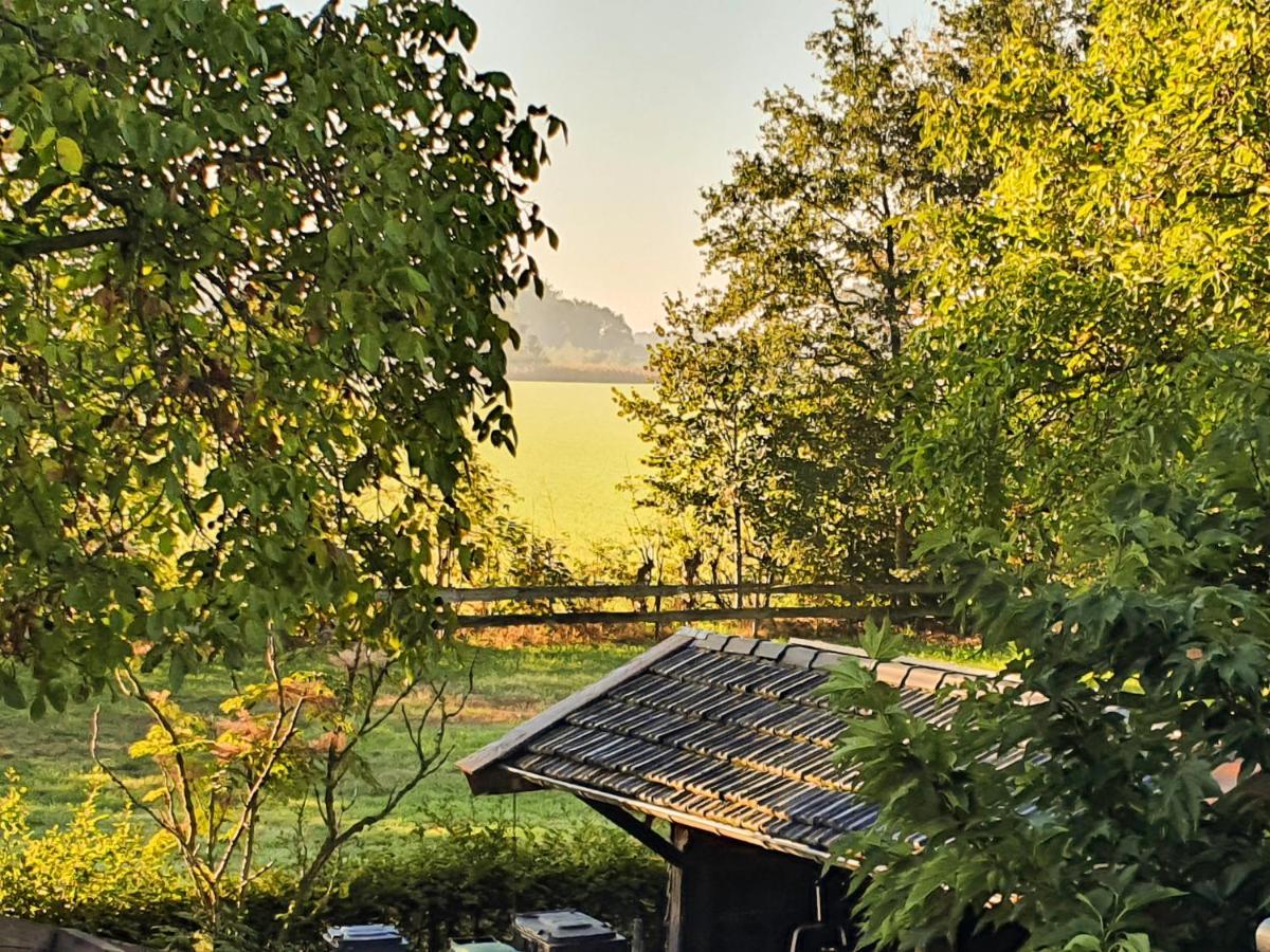 B&B De Nieuwenhof 'De Tuinkamer' Melderslo Экстерьер фото
